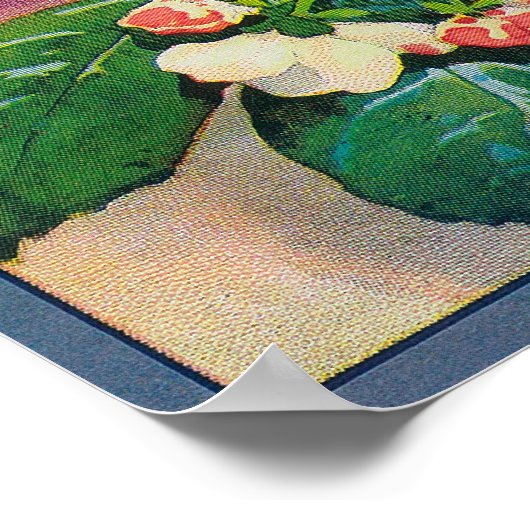 Sebastopol Gravensteins Apple LabelSonoma, CA Poster (Hoek)