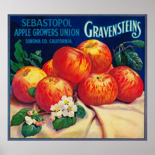 Sebastopol Gravensteins Apple LabelSonoma, CA Poster (Voorkant)
