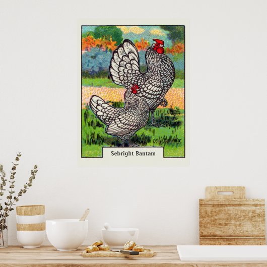  Sebright Bantam Chicken Poster (Keuken)