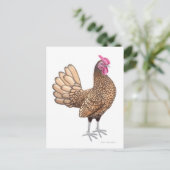 Sebright Bantam Rooster Briefkaart (Staand voorkant)