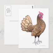 Sebright Bantam Rooster Briefkaart (Voorkant / Achterkant)