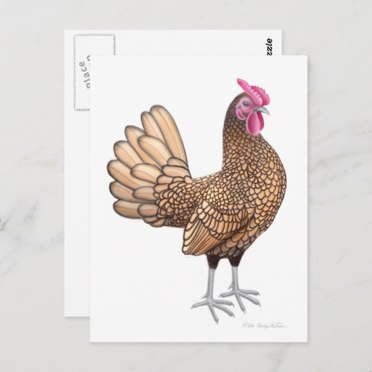 Sebright Bantam Rooster Briefkaart (Voorkant / Achterkant)