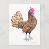 Sebright Bantam Rooster Briefkaart (Voorkant)