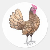 Sebright Bantam Rooster Ronde Sticker (Voorkant)