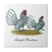 Sebright Bantams: zilver Tegeltje (Voorkant)