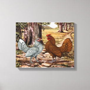 Sebright Hen en Rooster in een gebooste instelling Canvas Afdruk