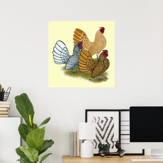 Sebright Rooster Assortation Poster (Thuiskantoor)