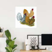 Sebright Rooster Assortation Poster (Thuiskantoor)