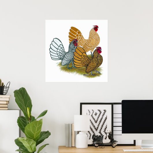 Sebright Rooster Assortation Poster (Thuiskantoor)