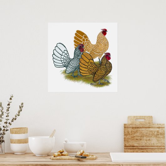 Sebright Rooster Assortation Poster (Keuken)