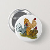 Sebright Rooster Assortation Ronde Button 5,7 Cm (Voorkant /achterkant)