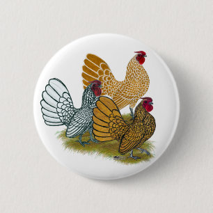 Sebright Rooster Assortation Ronde Button 5,7 Cm