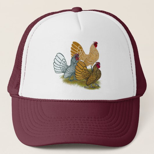 Sebright Rooster Assortation Trucker Pet (Voorkant)
