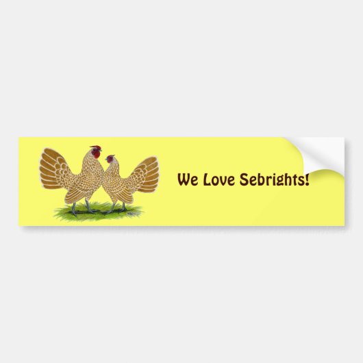 Sebrights Buff Laced Bumpersticker (Voorkant)