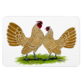 Sebrights Buff Laced Magneet (Horizontaal)