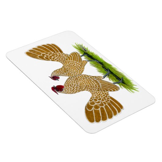 Sebrights Buff Laced Magneet (Rechterzijde)