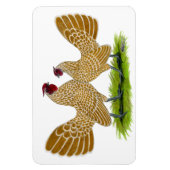 Sebrights Buff Laced Magneet (Verticaal)