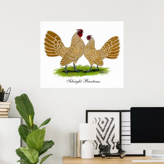 Sebrights Buff Laced Poster (Thuiskantoor)