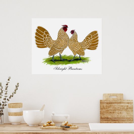 Sebrights Buff Laced Poster (Keuken)