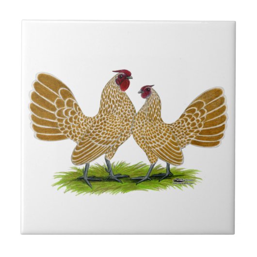 Sebrights Buff Laced Tegeltje (Voorkant)