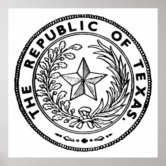 Secede Republic of Texas Poster (Voorkant)
