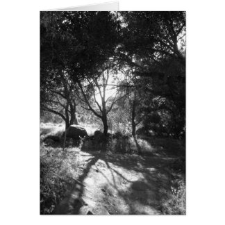 Seclusiekaart