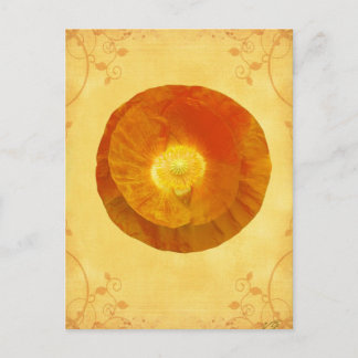 Second Chakra Gifts Briefkaart