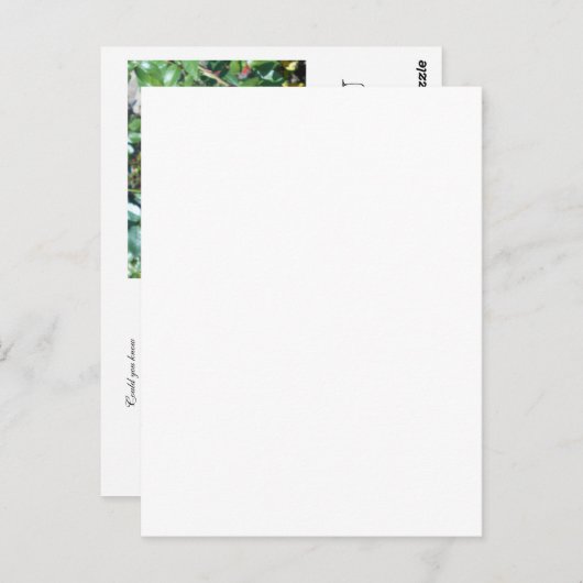 SECRET ADMIRER BRIEFKAART (Voorkant / Achterkant)