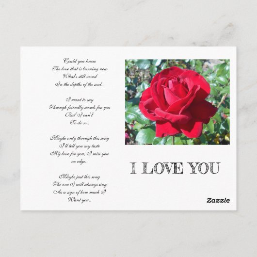 SECRET ADMIRER BRIEFKAART (Achterkant)