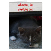 SECRET ADMIRER VALENTIJN KAT (Voorkant)