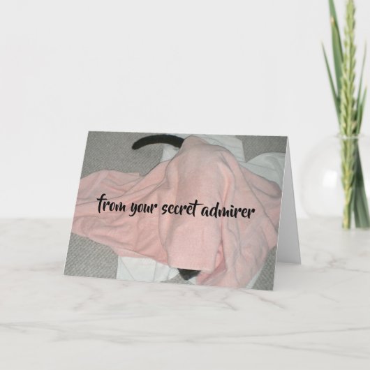 Secret Admirer Valentijn van de kat Feestdagen Kaart (Voorkant)