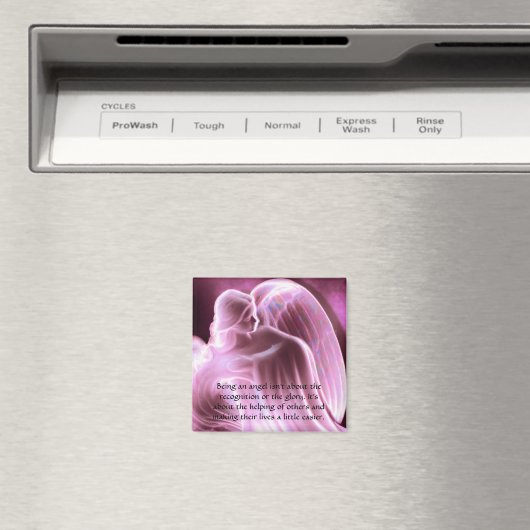 Secret Angel Magnet (Insitu (Vaatwasser))