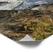 Secret Beach, Samuel H. Boardman, Oregon Poster (Hoek)