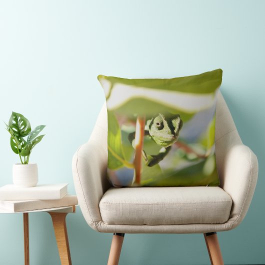 Secret Chamäelon Kussen (Stoel)