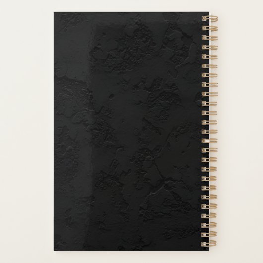 Secret Diary  My Secret Manifestation Diary 90 Day Planner (Achterkant)