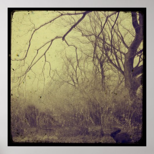 Secret Garden Poster (Voorkant)