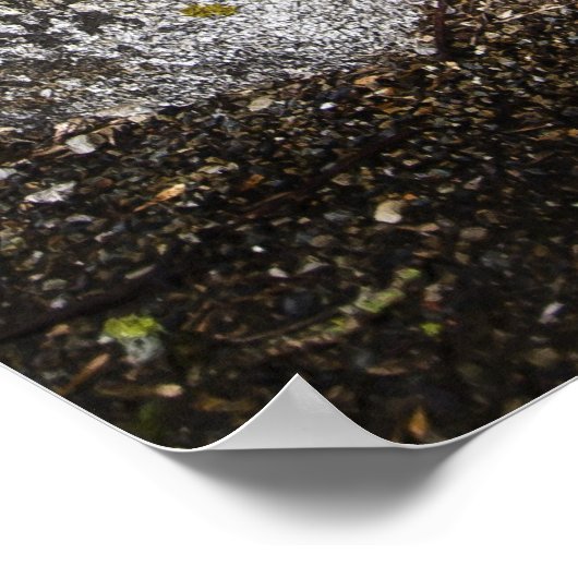 Secret Garden Poster (Hoek)