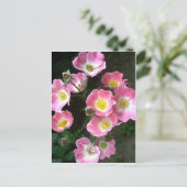 Secret Garden Rozen Foto Briefkaart (Staand voorkant)