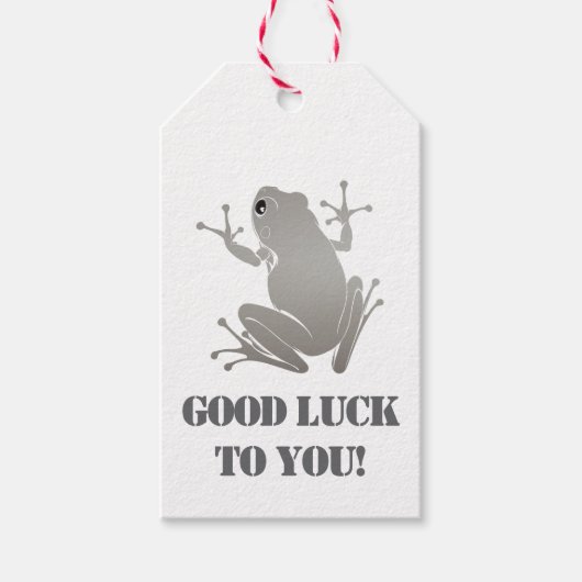 Secret Heart -Silver Flying Frog Classic Cadeaulabel (Voorkant)