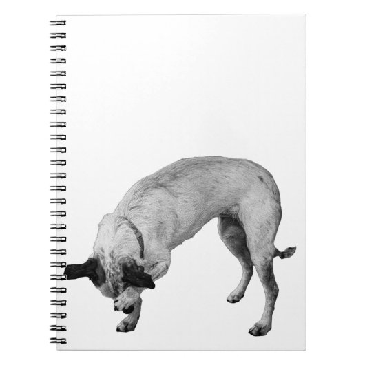 Secret Lists Terrier Notitieboek (Voorkant)