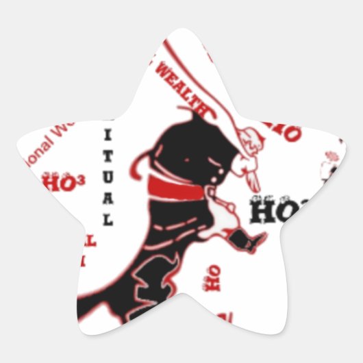 Secret Santa Gift – Welvaart & Rijkdom Ster Sticker (Voorkant)