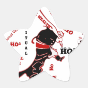 Secret Santa Gift – Welvaart & Rijkdom Ster Sticker