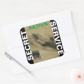 SECRET SERVICE SATIVA VIERKANTE STICKER (Envelop)