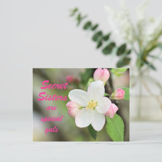 Secret Sister Apple Blossom Briefkaart - aanpassen (Staand voorkant)