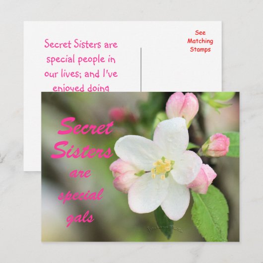 Secret Sister Apple Blossom Briefkaart - aanpassen (Voorkant / Achterkant)