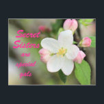 Secret Sister Apple Blossom Briefkaart - aanpassen<br><div class="desc">Verander de woorden aan de voor- en achterkant zoals u wilt. Ga naar mijn sectie met gesorteerde bloemen of typ Apple Blossoms in mijn zoekvak bovenaan mijn rechterzijbalk om een mooie selectie bijpassende kaarten,  postzegels en andere overeenkomende items te zien</div>