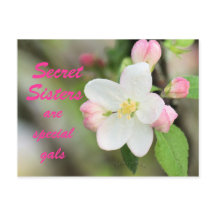 Secret Sister Apple Blossom Briefkaart - aanpassen