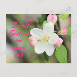 Secret Sister Apple Blossom Briefkaart - aanpassen