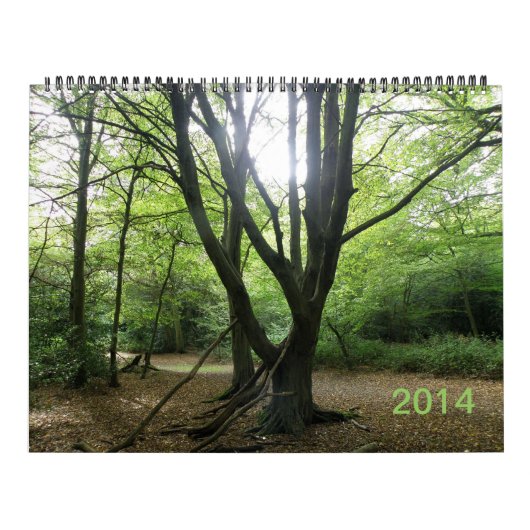 Secret Wild London 2014 Calendar Kalender (Hoes)