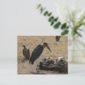 secretaresse briefkaart (Staand voorkant)